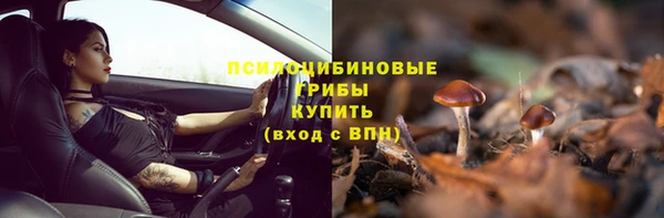спиды Алзамай