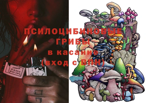 спиды Алзамай