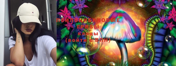 прущие грибы Киренск