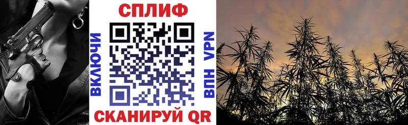mega   что такое   Безенчук  Марихуана сатива 